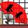 再见阿郎